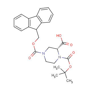 T12136